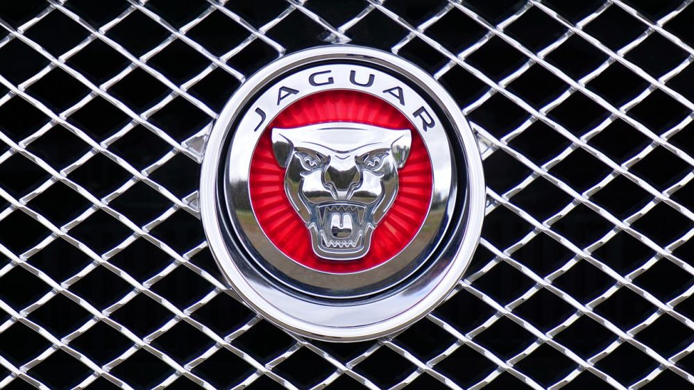 Jaguar service