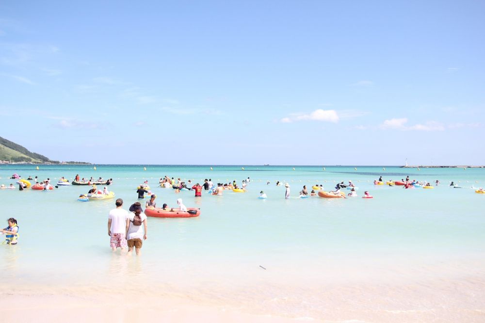 blog