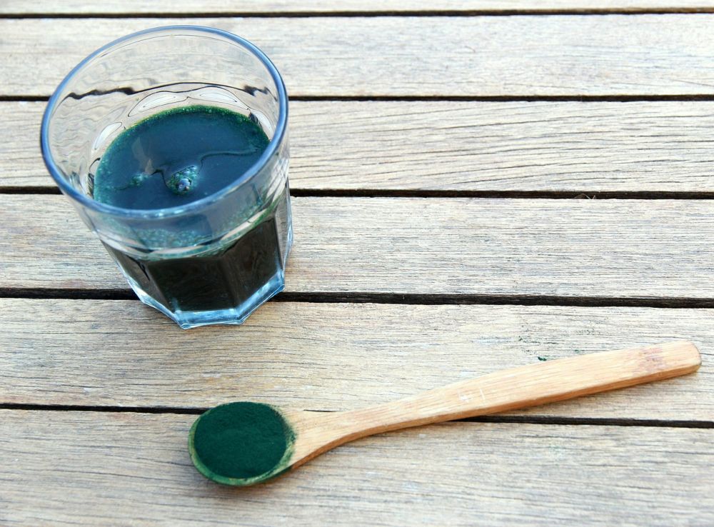 chlorella pulver