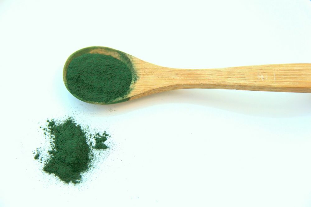 chlorella pulver