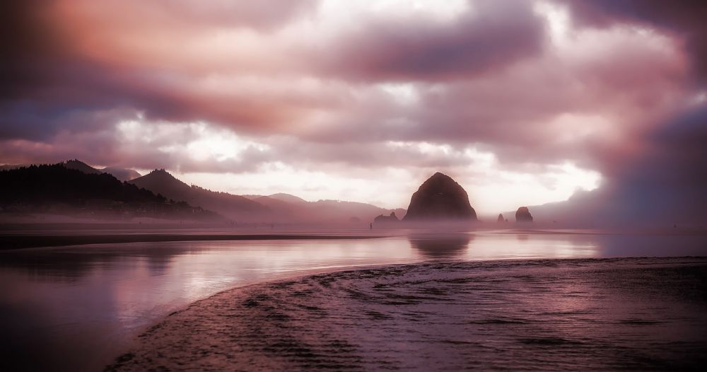 Fog cannon