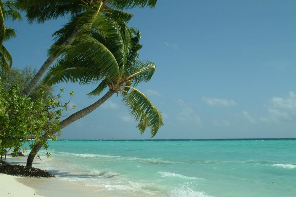 hvad koster en rejse til maldiverne