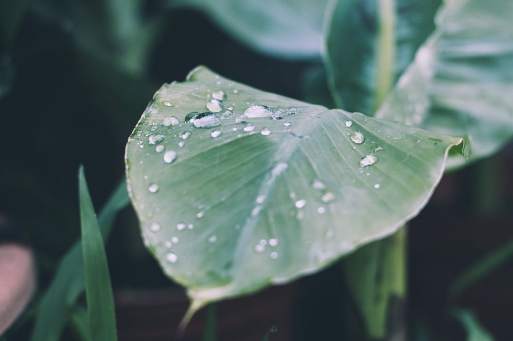 blog