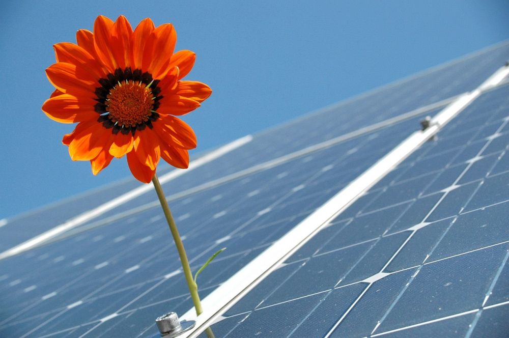 solar cells