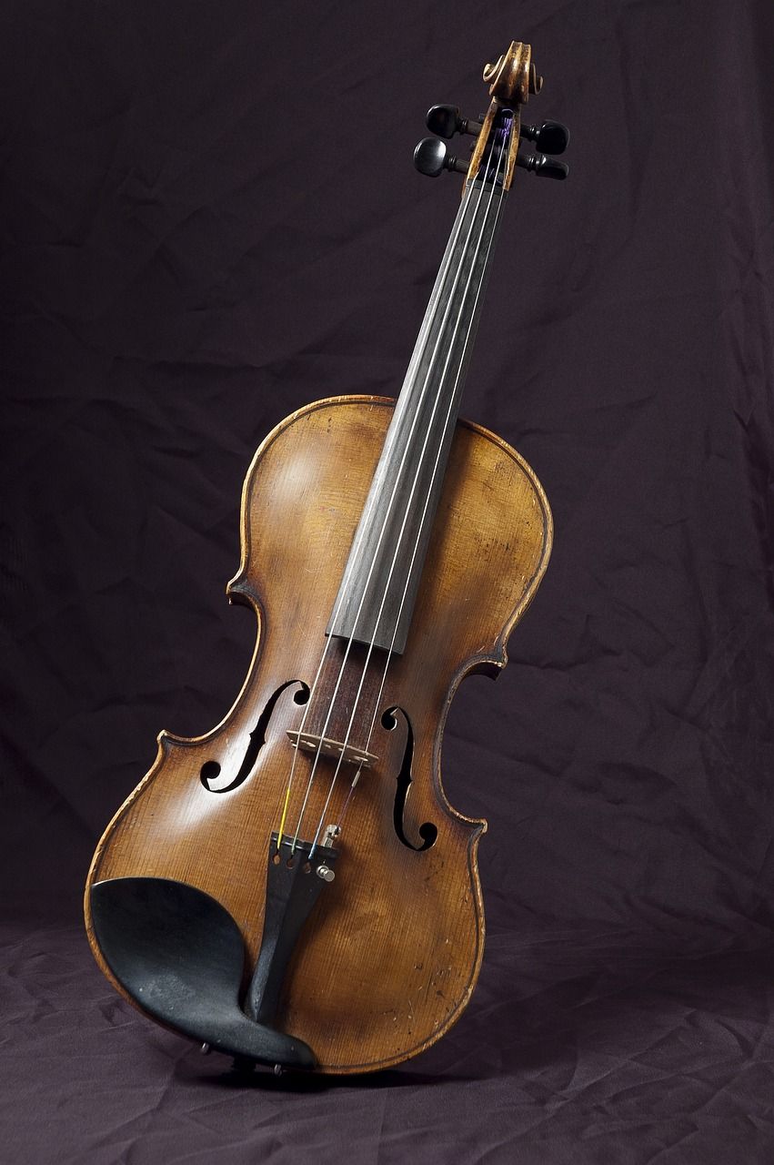 violin