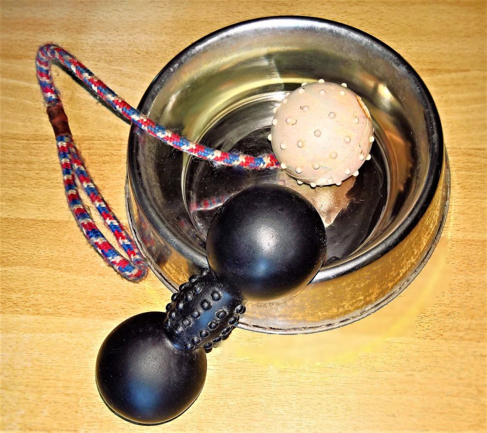 dog bowls