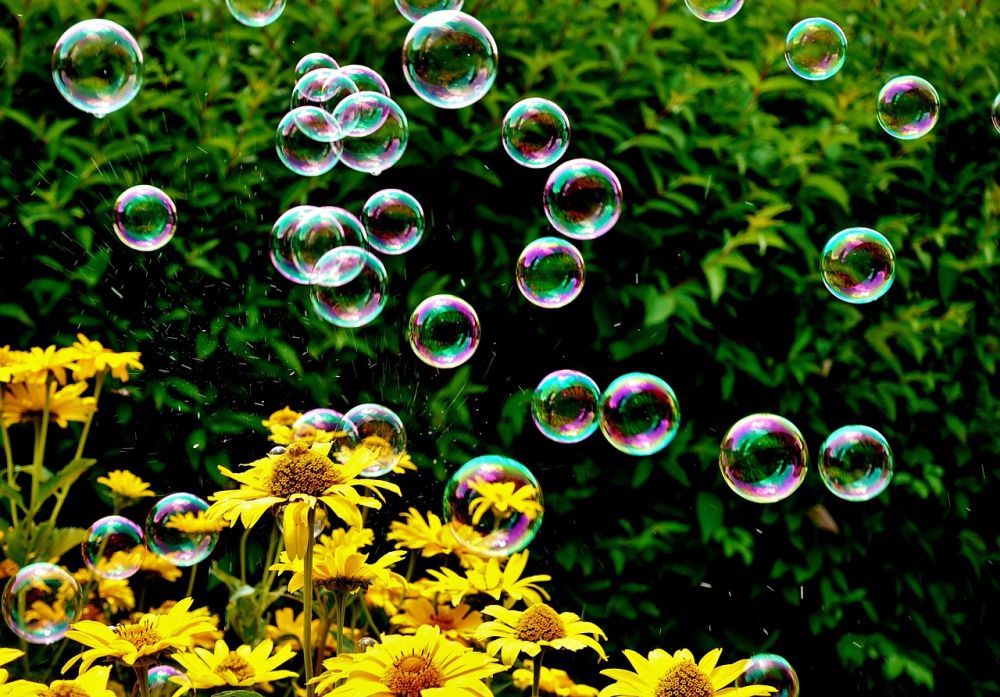 blog