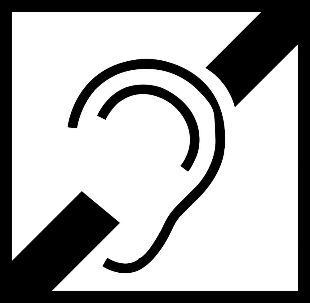 hearing aid