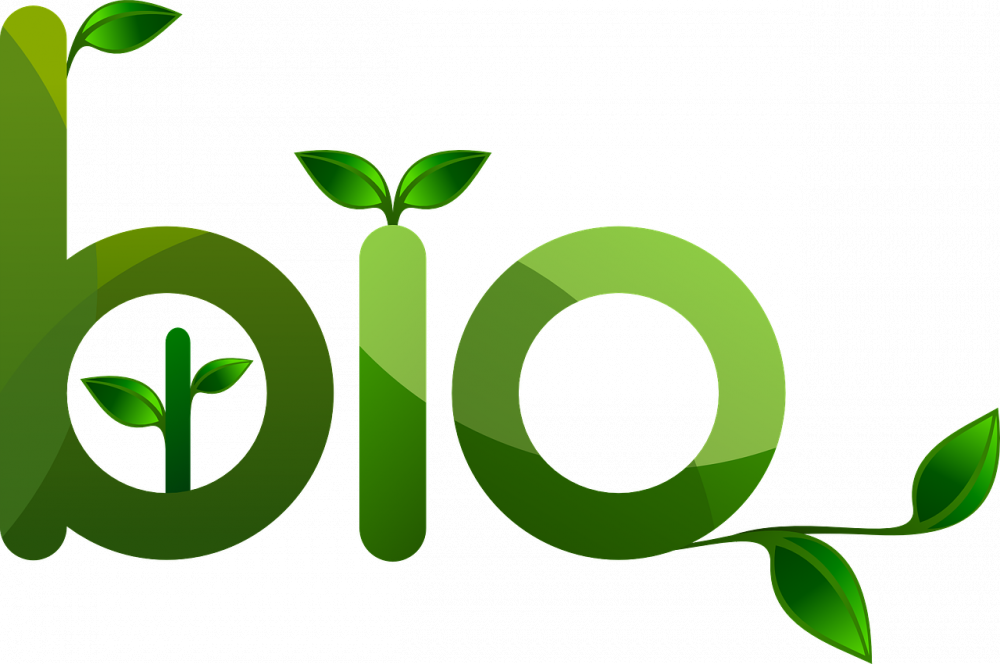 Bioenergi