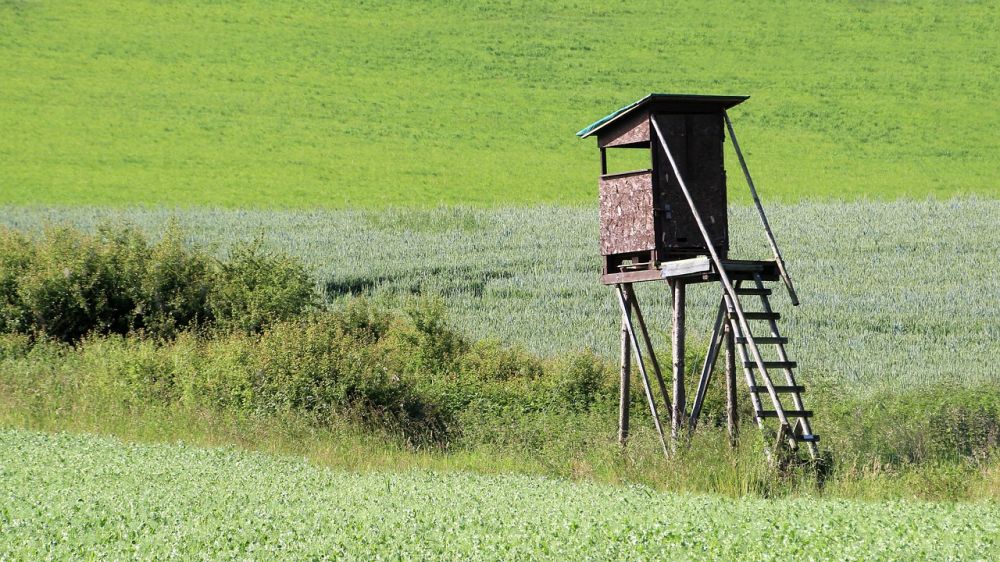 jägarexamen skåne