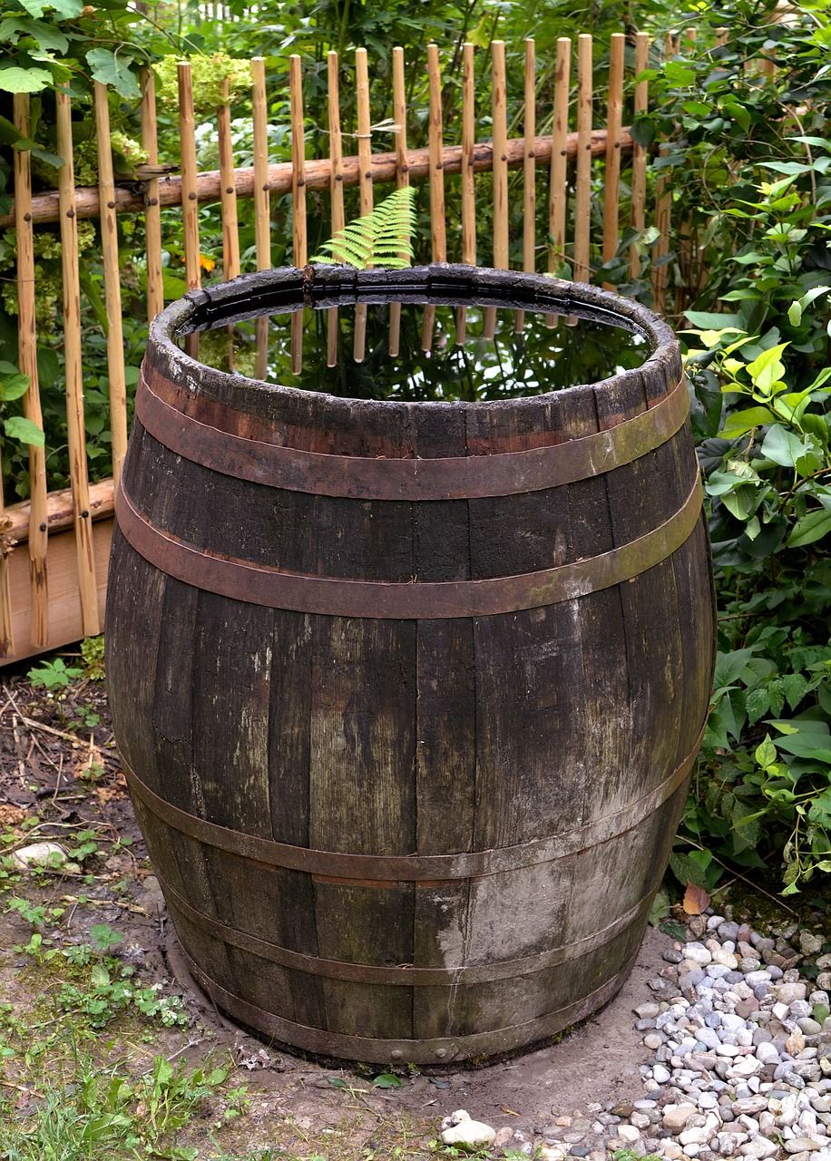 rainwater barrel