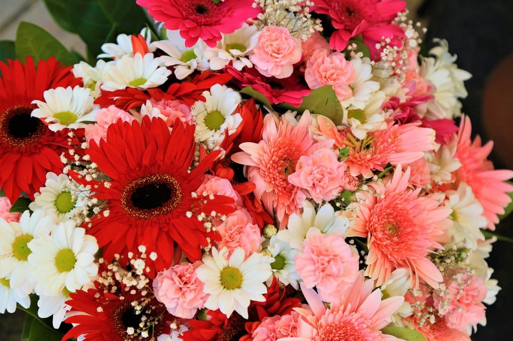 Blomsterhandler Holstebro