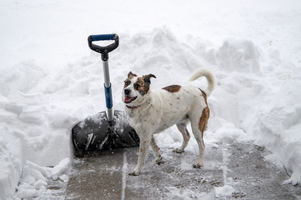 snow shovelling