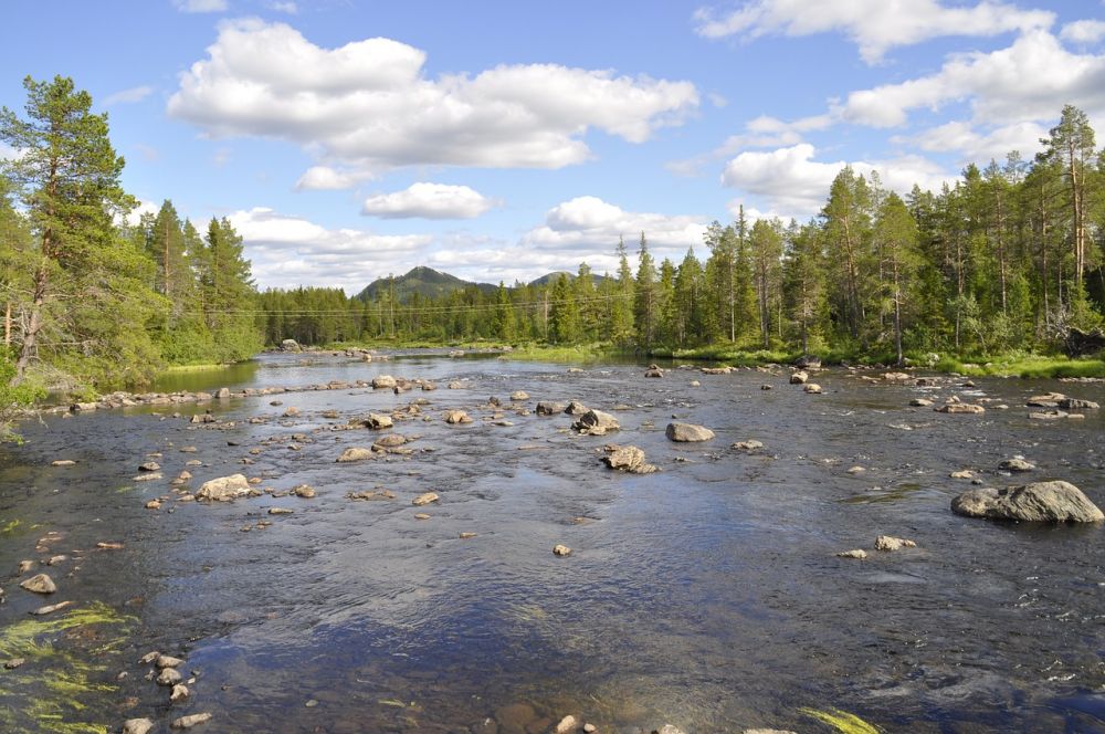 Konferens Dalarna