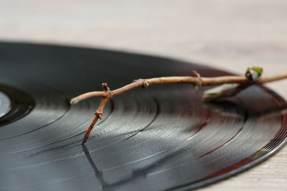 vinyl