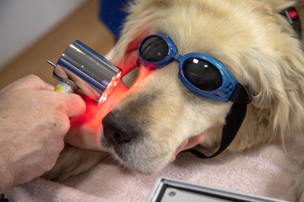 Laser treatment