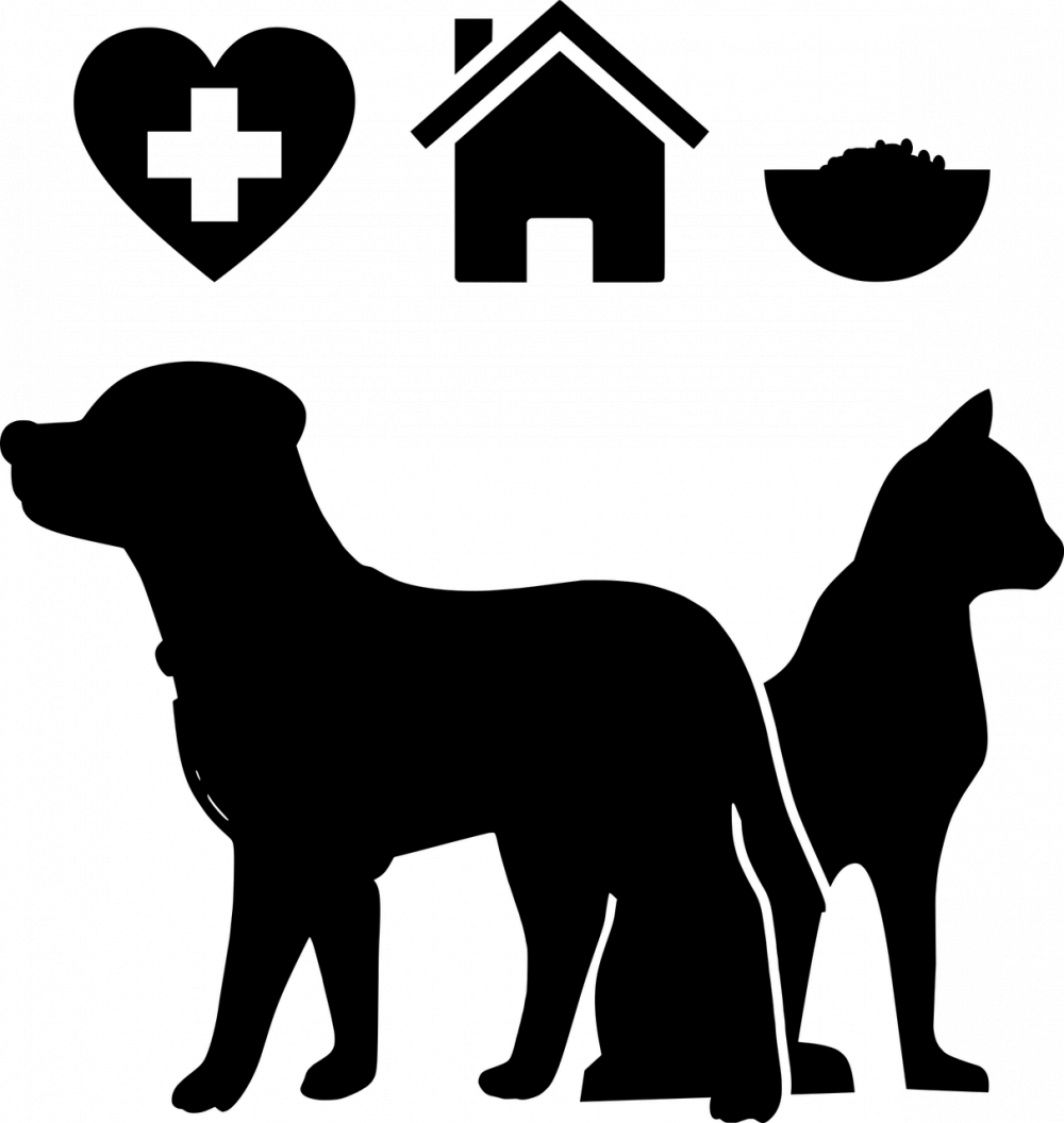animal health care