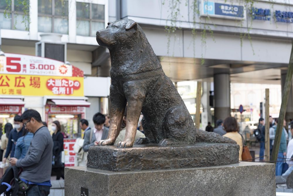 blog