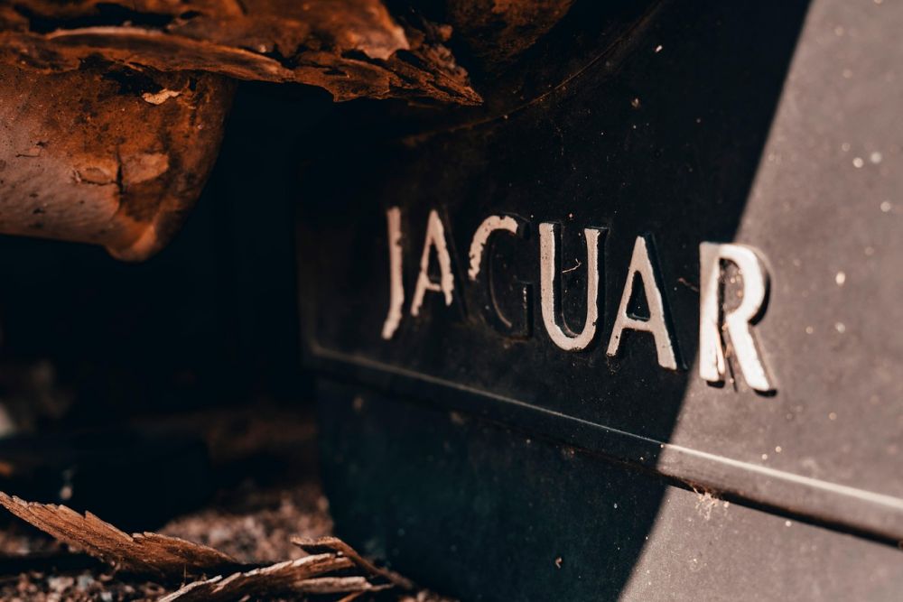 Jaguar Reservedele