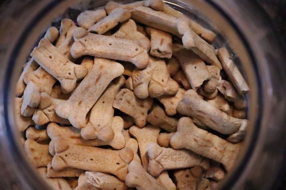 dog bone