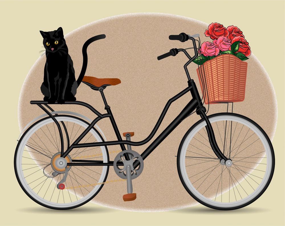 Cykelv&auml;ska