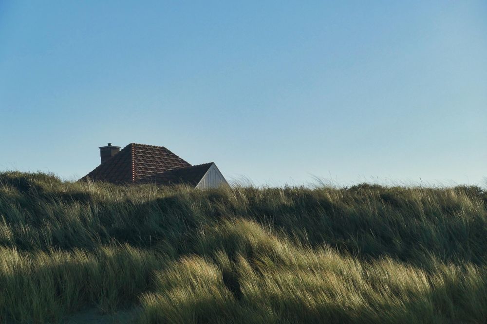 dødsbo