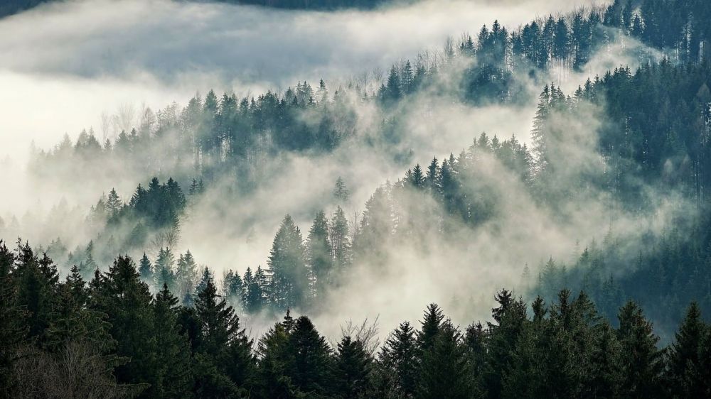 Wilderness