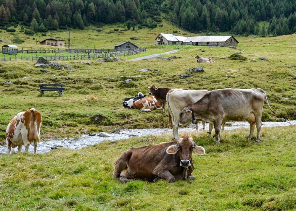 foringsløsninger