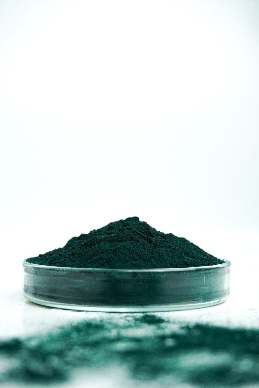 spirulina powder