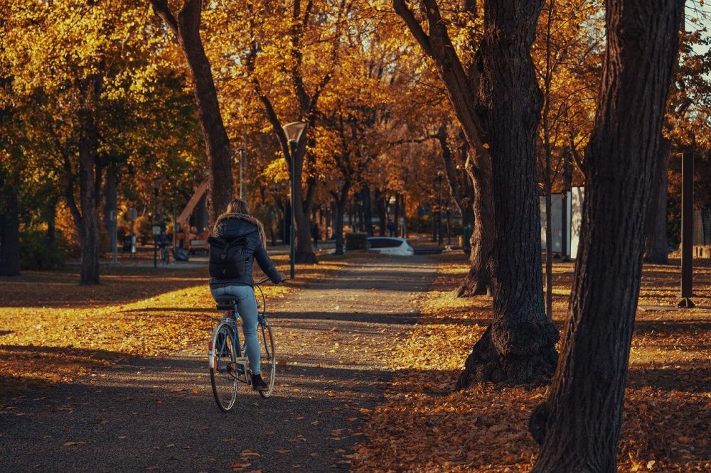 förmånscykel göteborgs stad