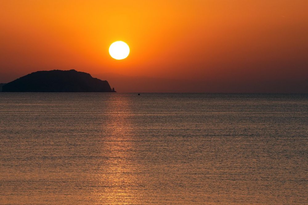blog