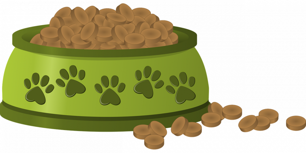dog bowls