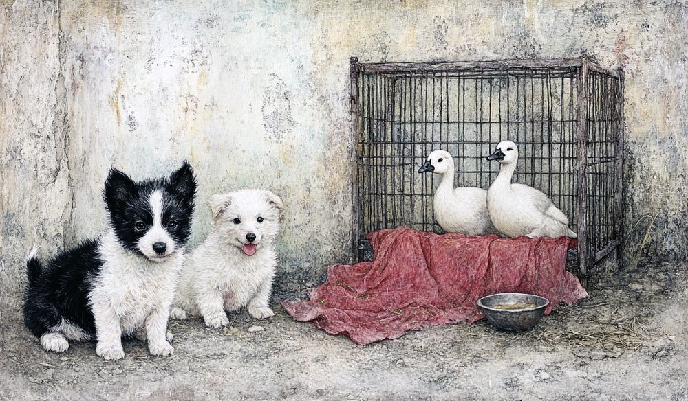 dog cage