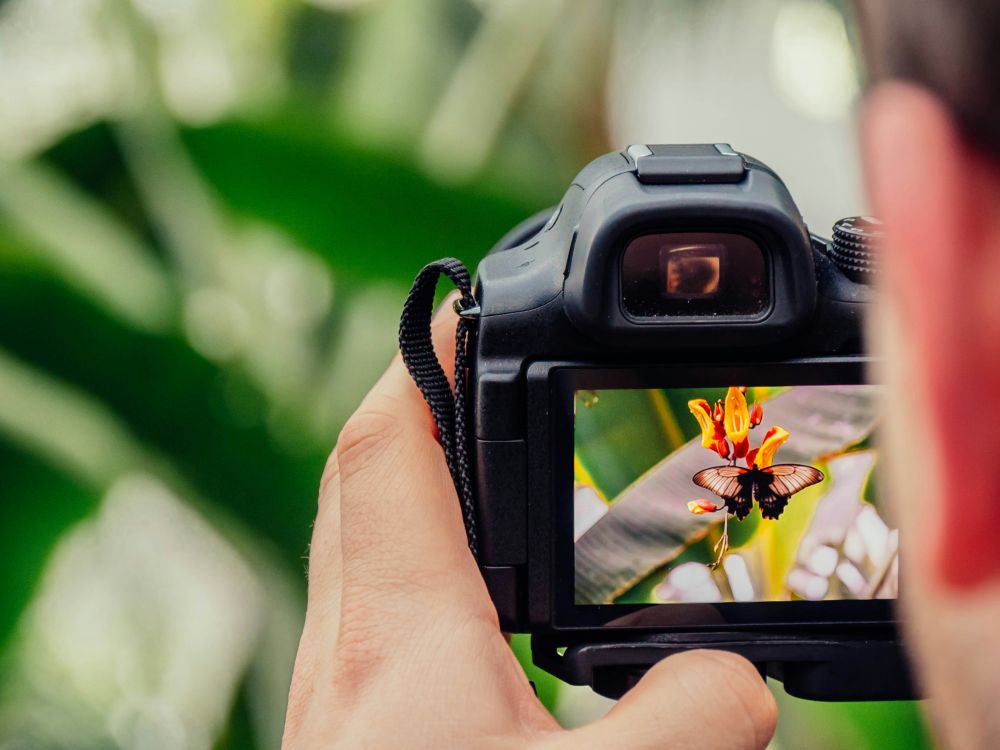 fotograf Varde