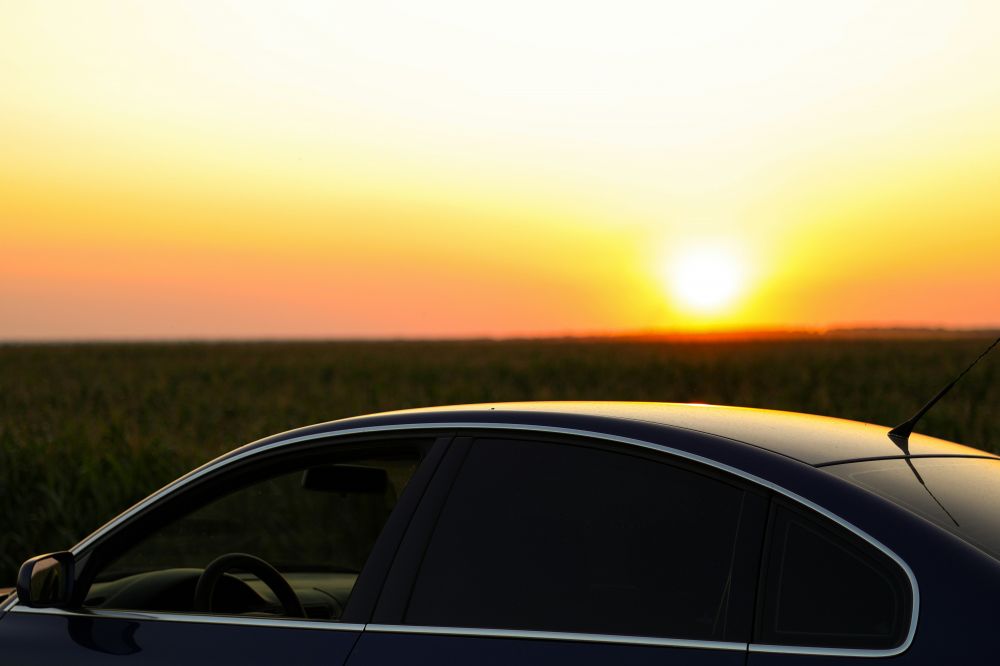 S&auml;songsf&ouml;rberedelser & Klimatanpassning