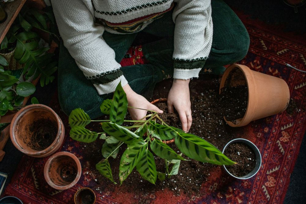 DIY & Makerprojekt