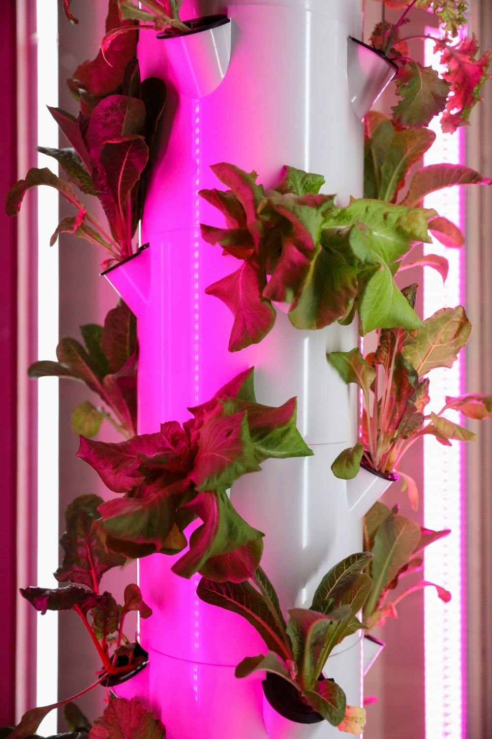DIY & Makerprojekt