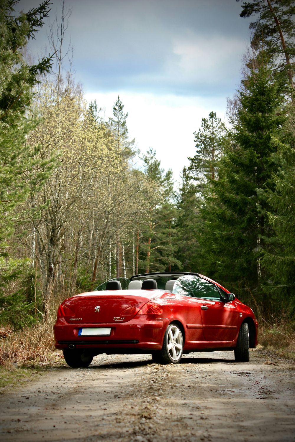 S&auml;songsf&ouml;rberedelser & Klimatanpassning