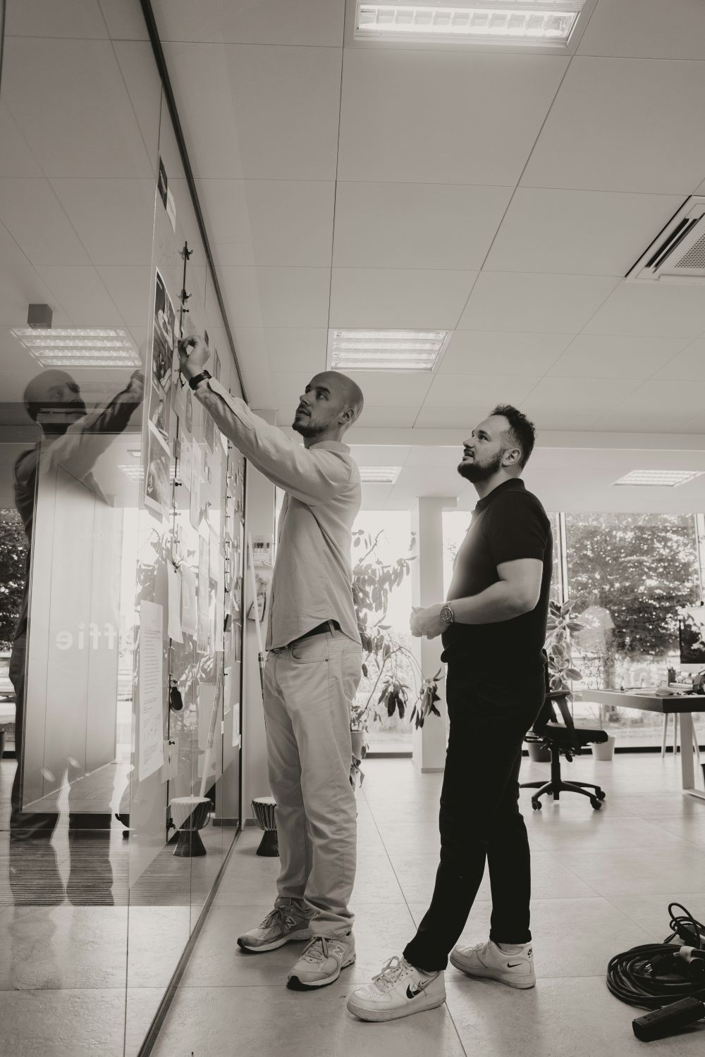 Tillväxt & Expansion