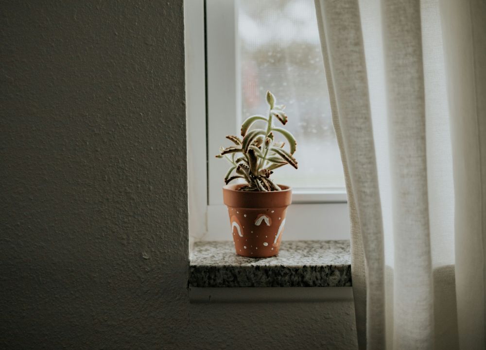 Renovera fönster