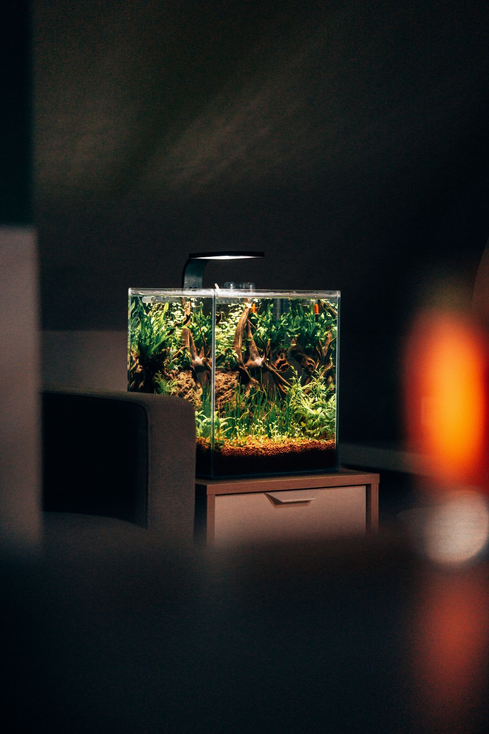 DIY & Makerprojekt