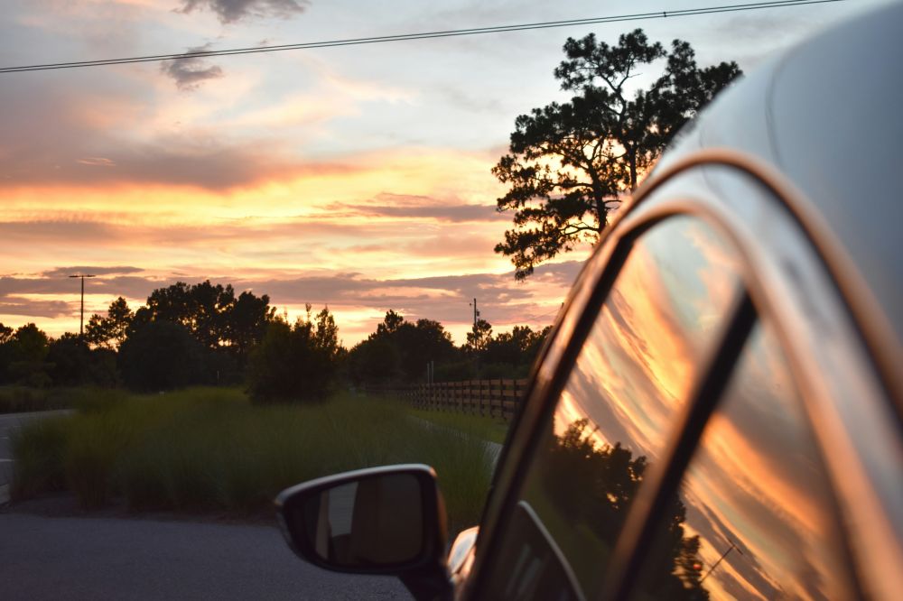 S&auml;songsf&ouml;rberedelser & Klimatanpassning