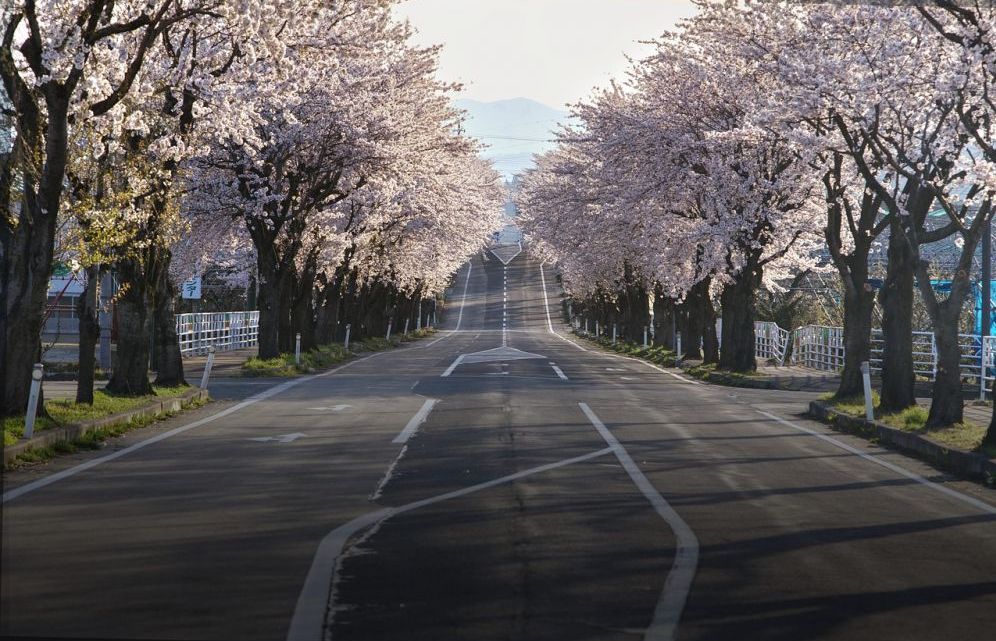 travel japan