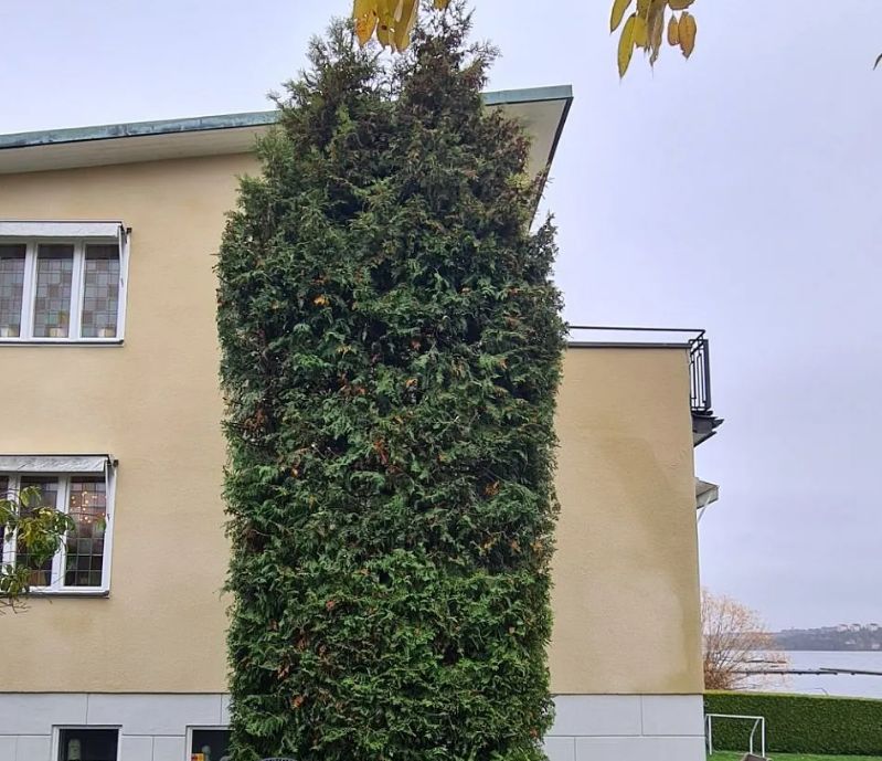 gardening vällingby