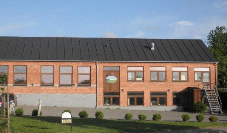 Roofing in Viborg