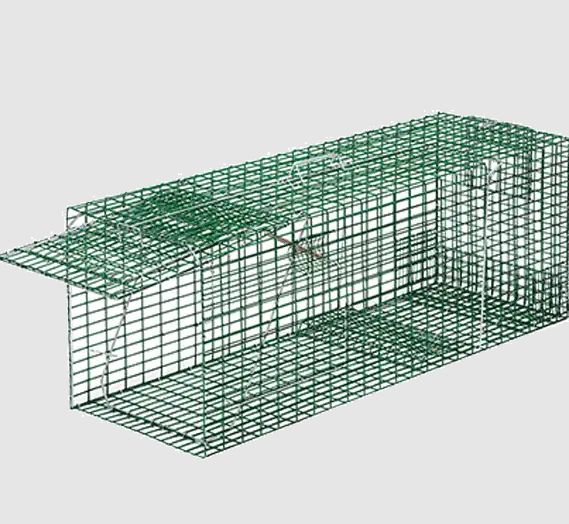 badger trap