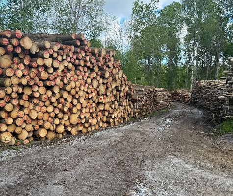 timber purchases Sörmland