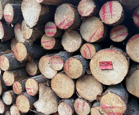 timber purchases Sörmland