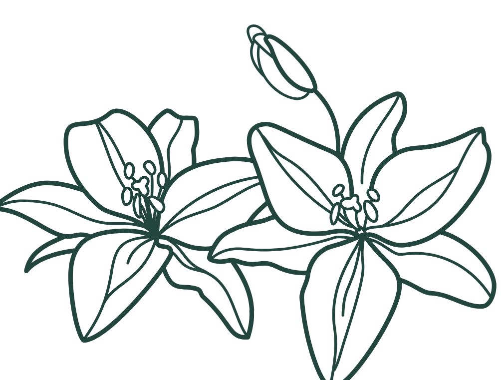 Funeral director Funen