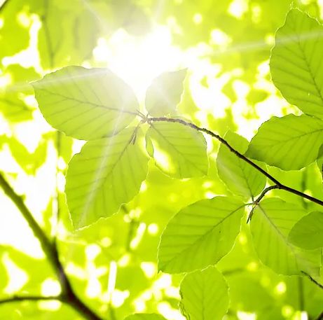 Funeral director Odense